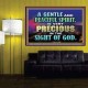 GENTLE AND PEACEFUL SPIRIT VERY PRECIOUS IN GOD SIGHT  Bible Verses to Encourage  Poster  GWPOSTER10496  