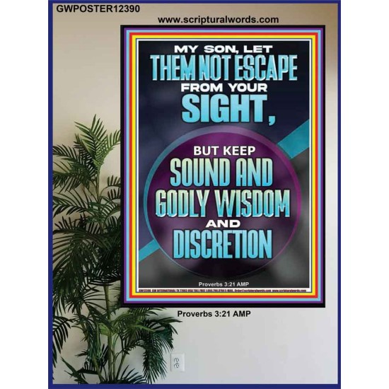 KEEP SOUND AND GODLY WISDOM AND DISCRETION  Bible Verse for Home Poster  GWPOSTER12390  