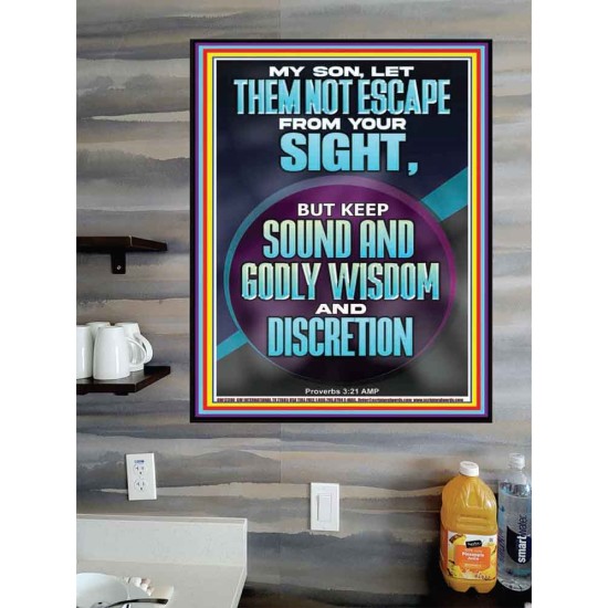 KEEP SOUND AND GODLY WISDOM AND DISCRETION  Bible Verse for Home Poster  GWPOSTER12390  