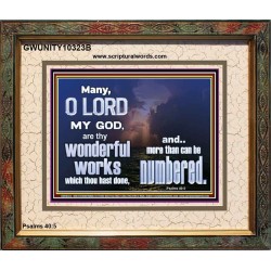 THY WONDERS O LORD CANNOT BE NUMBERED  Unique Bible Verse Portrait  GWUNITY10323B  