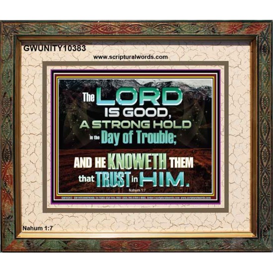 TRY HIM THE LORD IS GOOD ALL THE TIME  Ultimate Power Picture  GWUNITY10383  