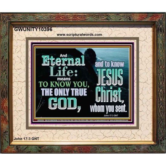 ETERNAL LIFE ONLY THROUGH CHRIST JESUS  Children Room  GWUNITY10396  