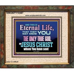 CHRIST JESUS THE ONLY WAY TO ETERNAL LIFE  Sanctuary Wall Portrait  GWUNITY10397  "25X20"