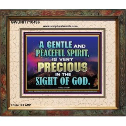 GENTLE AND PEACEFUL SPIRIT VERY PRECIOUS IN GOD SIGHT  Bible Verses to Encourage  Portrait  GWUNITY10496  "25X20"