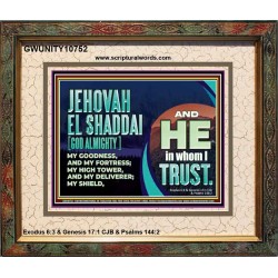 JEHOVAH EL SHADDAI GOD ALMIGHTY OUR GOODNESS FORTRESS HIGH TOWER DELIVERER AND SHIELD  Christian Quotes Portrait  GWUNITY10752  "25X20"