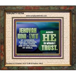 JEHOVAI ADONAI - TZVA'OT OUR GOODNESS FORTRESS HIGH TOWER DELIVERER AND SHIELD  Christian Quote Portrait  GWUNITY10754  "25X20"