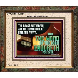 THE WORD OF THE LORD ENDURETH FOR EVER  Sanctuary Wall Portrait  GWUNITY12434  "25X20"