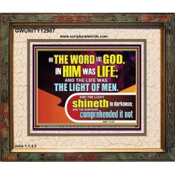 THE LIGHT SHINETH IN DARKNESS YET THE DARKNESS DID NOT OVERCOME IT  Ultimate Power Picture  GWUNITY12987  "25X20"