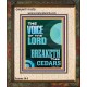 THE VOICE OF THE LORD BREAKETH THE CEDARS  Scriptural Décor Portrait  GWUNITY11979  