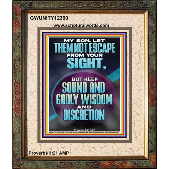 KEEP SOUND AND GODLY WISDOM AND DISCRETION  Bible Verse for Home Portrait  GWUNITY12390  