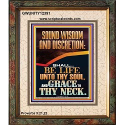 SOUND WISDOM AND DISCRETION SHALL BE LIFE UNTO THY SOUL  Bible Verse for Home Portrait  GWUNITY12391  "20X25"