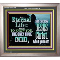 ETERNAL LIFE ONLY THROUGH CHRIST JESUS  Children Room  GWVICTOR10396  "16X14"
