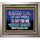 CHRIST JESUS THE ONLY WAY TO ETERNAL LIFE  Sanctuary Wall Portrait  GWVICTOR10397  