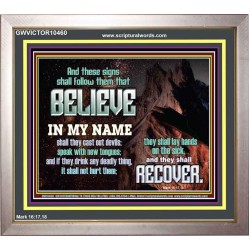 IN MY NAME SHALL THEY CAST OUT DEVILS  Christian Quotes Portrait  GWVICTOR10460  "16X14"