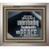 A MAN OF UNDERSTANDING HOLDETH HIS PEACE  Modern Wall Art  GWVICTOR10593  "16X14"