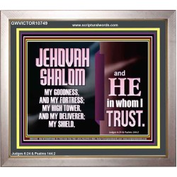 JEHOVAH SHALOM OUR GOODNESS FORTRESS HIGH TOWER DELIVERER AND SHIELD  Encouraging Bible Verse Portrait  GWVICTOR10749  "16X14"
