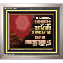 THE RIGHTEOUSNESS OF THY TESTIMONIES IS EVERLASTING O LORD  Religious Wall Art   GWVICTOR12048  "16X14"