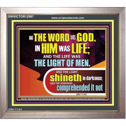 THE LIGHT SHINETH IN DARKNESS YET THE DARKNESS DID NOT OVERCOME IT  Ultimate Power Picture  GWVICTOR12987  "16X14"