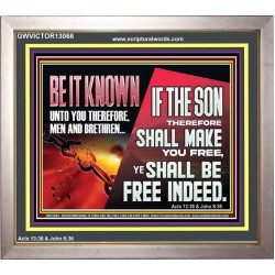 IF THE SON THEREFORE SHALL MAKE YOU FREE  Ultimate Inspirational Wall Art Portrait  GWVICTOR13066  "16X14"