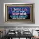 CHRIST JESUS THE ONLY WAY TO ETERNAL LIFE  Sanctuary Wall Portrait  GWVICTOR10397  