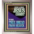 OUR LORD JESUS CHRIST THE TRUE BREAD FROM HEAVEN  Church Portrait  GWVICTOR11950  "14x16"