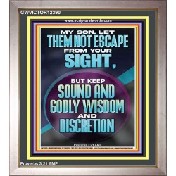 KEEP SOUND AND GODLY WISDOM AND DISCRETION  Bible Verse for Home Portrait  GWVICTOR12390  "14x16"