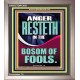 ANGER RESTETH IN THE BOSOM OF FOOLS  Encouraging Bible Verse Portrait  GWVICTOR13021  