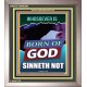 GOD'S CHILDREN DO NOT CONTINUE TO SIN  Righteous Living Christian Portrait  GWVICTOR9390  
