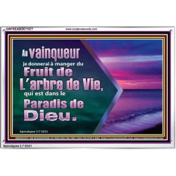 Fruit de L'arbre de Vie, qui est dans le Paradis de Dieu. Cadre acrylique Power Bible unique (GWFREABIDE11677) 