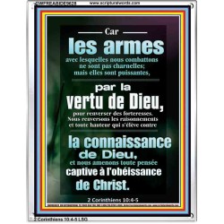 Car les armes avec lesquelles nous combattons ne sont pas charnelles;  Cadre acrylique mural sanctuaire (GWFREABIDE9628) "16X24"