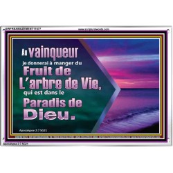 Fruit de L'arbre de Vie, qui est dans le Paradis de Dieu. Cadre acrylique Power Bible unique (GWFREAMAZEMENT11677) 