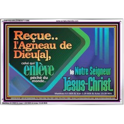 L'Agneau de Dieu[a], Notre Seigneur Jésus-Christ. Image unique de la Bible sur le pouvoir (GWFREAMAZEMENT11695) 