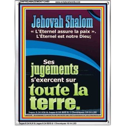 Jehovah Shalom «L'Eternel assure la paix». Cadre acrylique d'art mural de verset biblique (GWFREAMAZEMENT12488) 