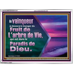 Fruit de L'arbre de Vie, qui est dans le Paradis de Dieu. Cadre acrylique Power Bible unique (GWFREAMBASSADOR11677) 