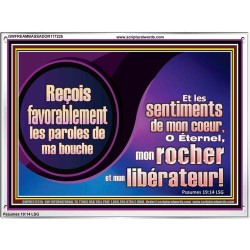 Reçois favorablement les paroles de ma bouche O Éternel, mon rocher. Cadre acrylique puissance ultime (GWFREAMBASSADOR11722b) "48X32"