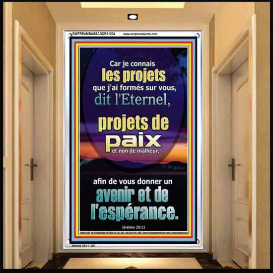 Car je connais les projets que j'ai formés sur vous, dit l'Eternel,  Cadre acrylique d'art mural (GWFREAMBASSADOR11204) 