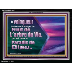 Fruit de L'arbre de Vie, qui est dans le Paradis de Dieu. Cadre acrylique Power Bible unique (GWFREAMEN11677) 