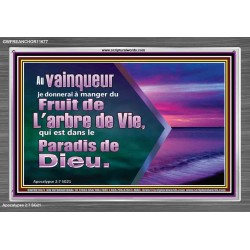 Fruit de L'arbre de Vie, qui est dans le Paradis de Dieu. Cadre acrylique Power Bible unique (GWFREANCHOR11677) 