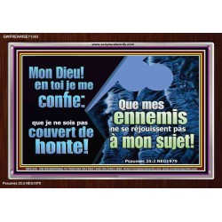 Mon Dieu! en toi je me confie: que je ne sois pas couvert de honte!  Cadre acrylique puissance ultime (GWFREARISE11343) 