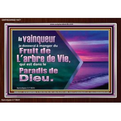 Fruit de L'arbre de Vie, qui est dans le Paradis de Dieu. Cadre acrylique Power Bible unique (GWFREARISE11677) 