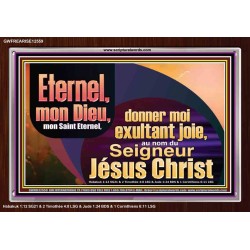Saint Eternel, donner moi exultant joie, au nom du Seigneur Jésus Christ. Cadre acrylique des Écritures (GWFREARISE12559) 