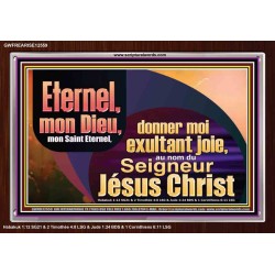 Saint Eternel, donner moi exultant joie, au nom du Seigneur Jésus Christ. Cadre acrylique des Écritures (GWFREARISE12559) "33X25"