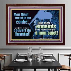 Mon Dieu! en toi je me confie: que je ne sois pas couvert de honte!  Cadre acrylique puissance ultime (GWFREARISE11343) 