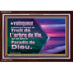 Fruit de L'arbre de Vie, qui est dans le Paradis de Dieu. Cadre acrylique Power Bible unique (GWFREARK11677) 