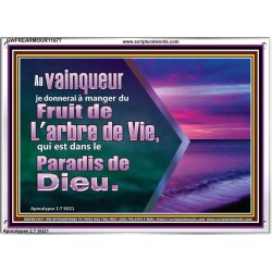 Fruit de L'arbre de Vie, qui est dans le Paradis de Dieu. Cadre acrylique Power Bible unique (GWFREARMOUR11677) 