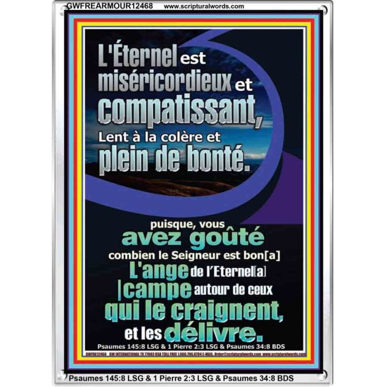 L'ange de l'Eternel[a] |campe autour de ceux qui le craignent, et les délivre. Cadre acrylique Verset biblique en ligne (GWFREARMOUR12468) 