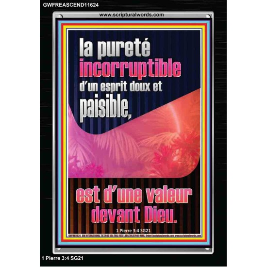 esprit doux et paisible, est d'une valeur devant Dieu. Cadre acrylique Power Bible unique (GWFREASCEND11624) 