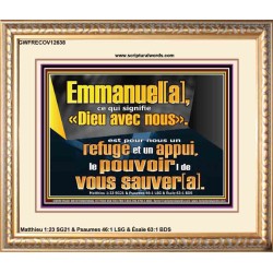 Emmanuel[a], ce qui signifie «Dieu avec nous». le pouvoir |de vous sauver[a]. Grand art mural scriptural encadré (GWFRECOV12638) "23X18"