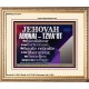 JEHOVAH ADONAI  TZVA'OT....Mon bienfaiteur et mon libérateur. Cadre biblique unique (GWFRECOV12774) 