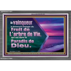 Fruit de L'arbre de Vie, qui est dans le Paradis de Dieu. Cadre acrylique Power Bible unique (GWFREEXALT11677) 